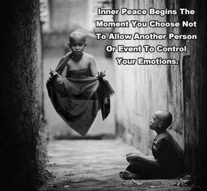 Inner peace begins the moment you choose not to allow another person or event to control your emotions.