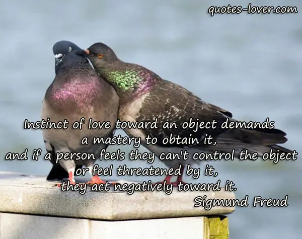 Instinct of love toward an object demands a mastery to obtain it, and if a person feels they can't control the object or feel threatened by it, they act negatively toward it.