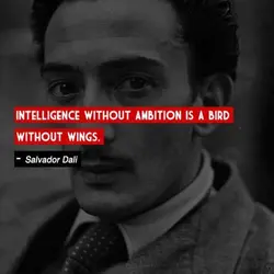 Intelligence without ambition is a bird without wings