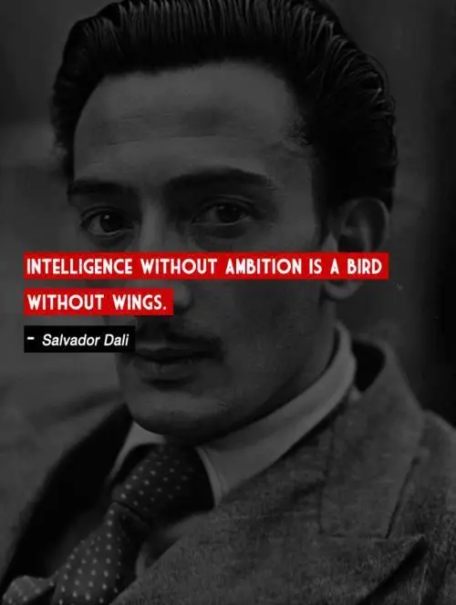 Intelligence without ambition is a bird without wings