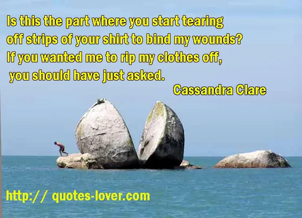 Is this the part where you start tearing off strips of your shirt to bind my wounds? If you wanted me to rip my clothes off, you should have just asked.