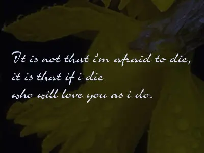 It is not that I'm afraid to die, it is that if I die who will love you as I do