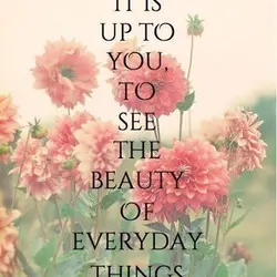 It is up to you to see the beauty of everyday things