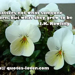 It matters not what someone is born, but what they grow to be