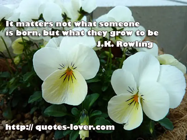It matters not what someone is born, but what they grow to be