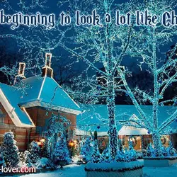 It's beginning to look a lot like Christmas