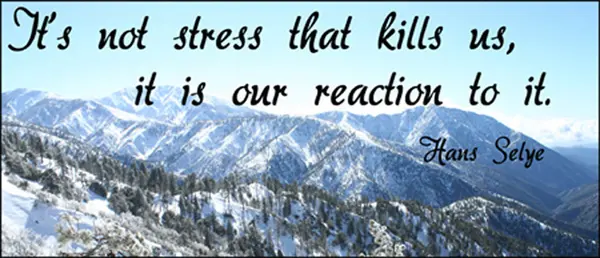 It's not stress that kills us it is our reaction to it.