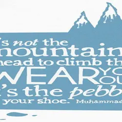It's not the mountains ahead to climb that wear you out; it's the pebble in...