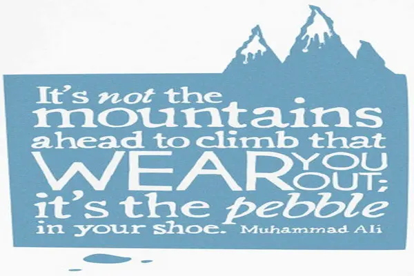 It's not the mountains ahead to climb that wear you out; it's the pebble in your shoe 