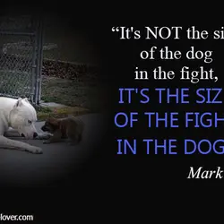 It's not the size of the dog in the fight, it's the size of the...