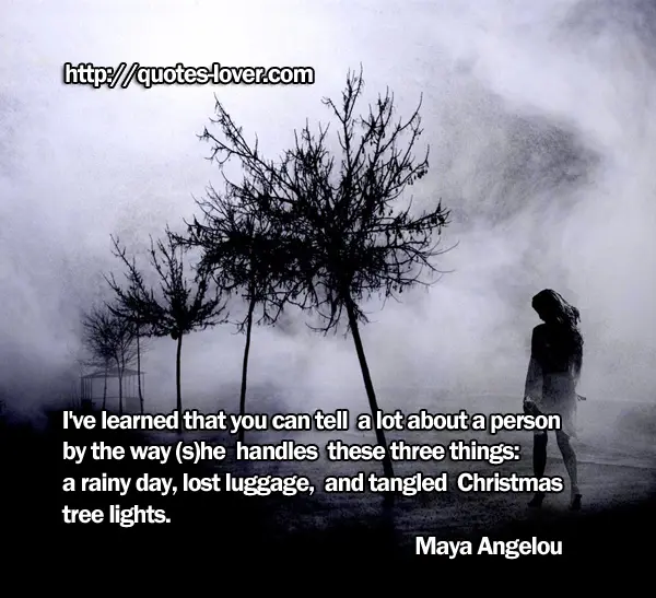 I've learned that you can tell a lot about a person by the way (s)he handles these three things: a rainy day, lost luggage, and tangled Christmas tree lights.