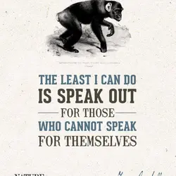 The least I can do is speak out for those who cannot speak for themselves