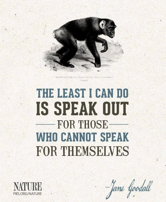 The least I can do is speak out for those who cannot speak for themselves