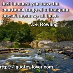Just because you have the emotional range of a teaspoon doesn't mean we all have.