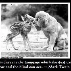 Kindness is the language which the deaf can hear and the blind can see