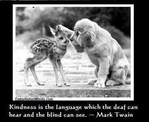Kindness is the language which the deaf can hear and the blind can see