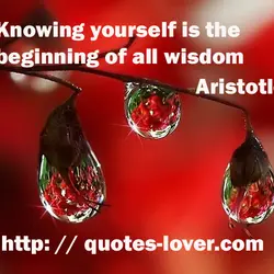 Knowing yourself is the beginning of all wisdom