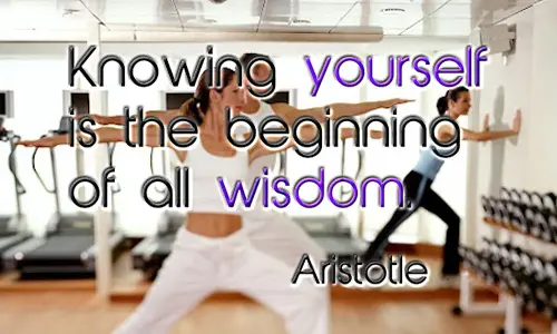 Knowing yourself is the beginning of all wisdom 