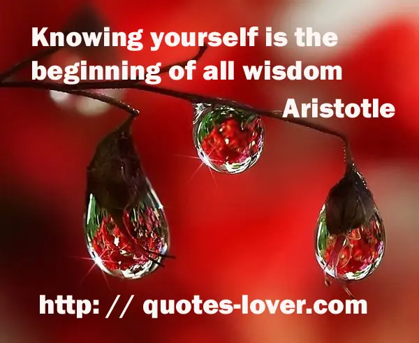 Knowing yourself is the beginning of all wisdom
