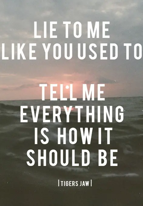 Lie to me like you used to - Tell me everything is how it should be.