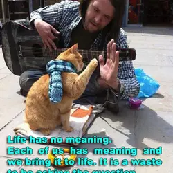 Life has no meaning. Each of us has meaning and we bring it to life....