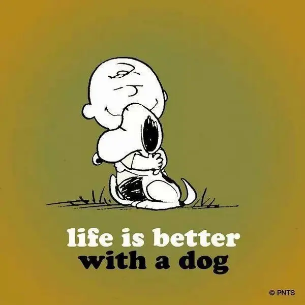 Life is better with a dog.