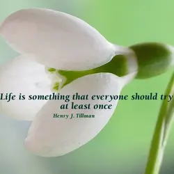 Life is something that everyone should try at least once