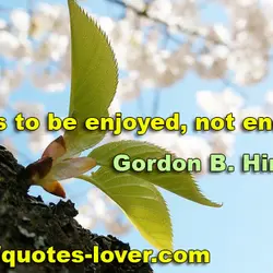 Life is to be enjoyed, not endured.