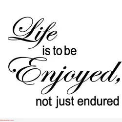 Life is to be enjoyed not just endured