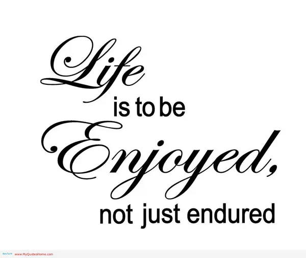 Life is to be enjoyed not just endured