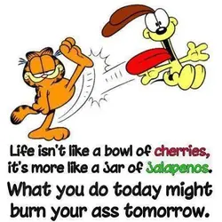 Life isn't like a bowl of cherries, it's more like a jar of jalapenos. What...