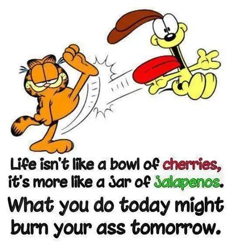 Life isn't like a bowl of cherries, it's more like a jar of jalapenos. What you do today might burn your ass tomorrow.