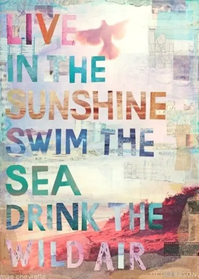 Live in the sunshine, swim the sea, drink the wild air.