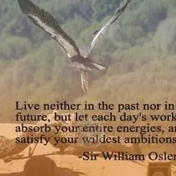Live neither in the past nor in the future, but let each day's work absorb...
