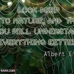 Look deep into nature, and then you will understand everything better