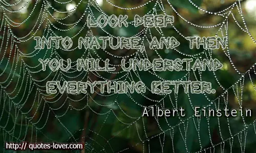 Look deep into nature, and then you will understand everything better