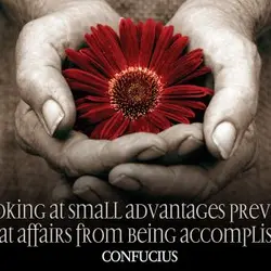 Looking at small advantages prevents great affairs from being accomplished.