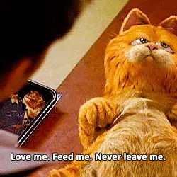 Love me. Feed me. Never leave me.