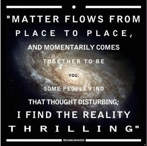 Matter flows from place to place, and momentarily comes together to be you. Some people find that thought disturbing; I find the reality thrilling.