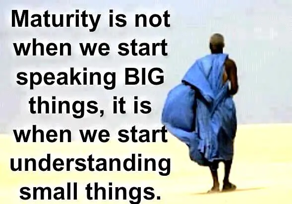 Maturity is not when we start speaking big things, it is when we start understanding small things.