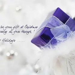 May peace be your gift at Christmas and your blessing all year through!