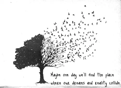 Maybe one day we'll find the place where our dreams and reality collide