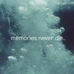 Memories never die.