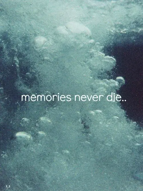 Memories never die.