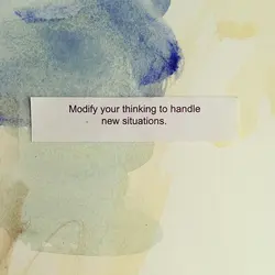 Modify your thinking to handle new situations.