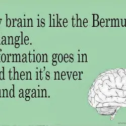 My brain is like the Bermuda Triangle. Information goes in and then it's never found...
