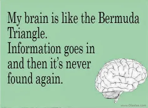 My brain is like the Bermuda Triangle. Information goes in and then it's never found again.