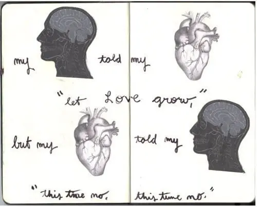 My brain told my heart 'let love grow' but my heart told my brain 'this time no, this time no'