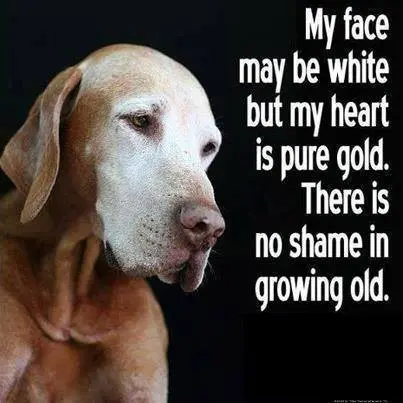 My face may be white but my heart is pure gold. There is no shame in growing old.