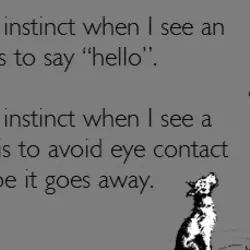 My first instinct when I see an animal is to say hello My first instinct...